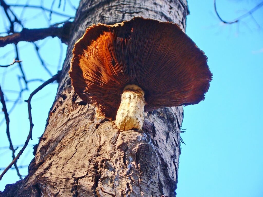 thumbnail 1771677122