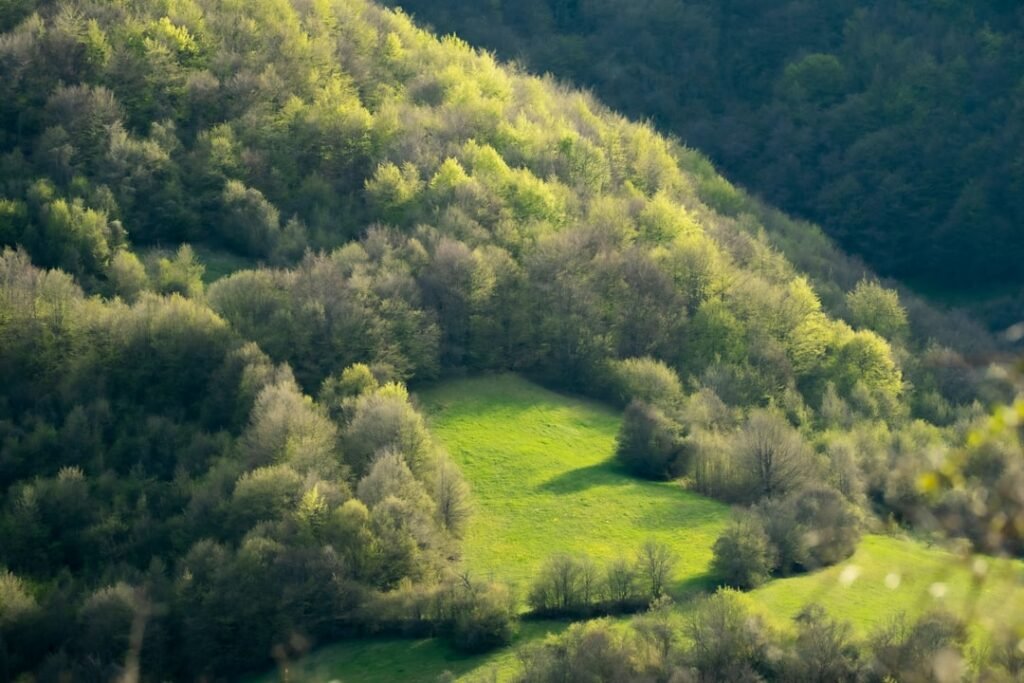 thumbnail 1771677246