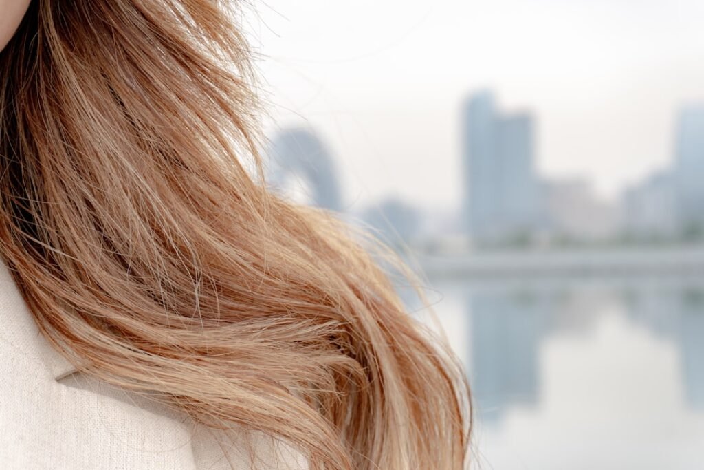 thumbnail 1771754247