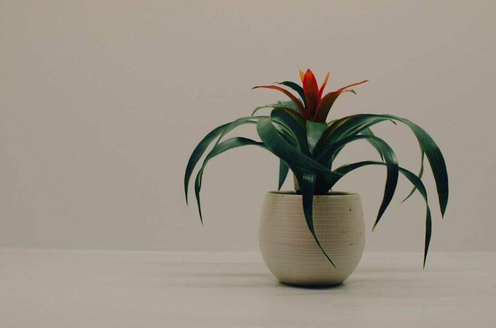 thumbnail 1772017282